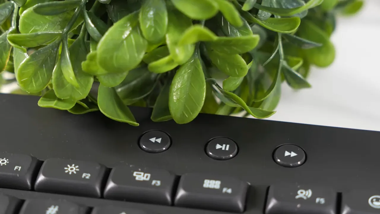 Close-up of Logitech K650 top-edge media buttons (rewind, play/pause, forward)