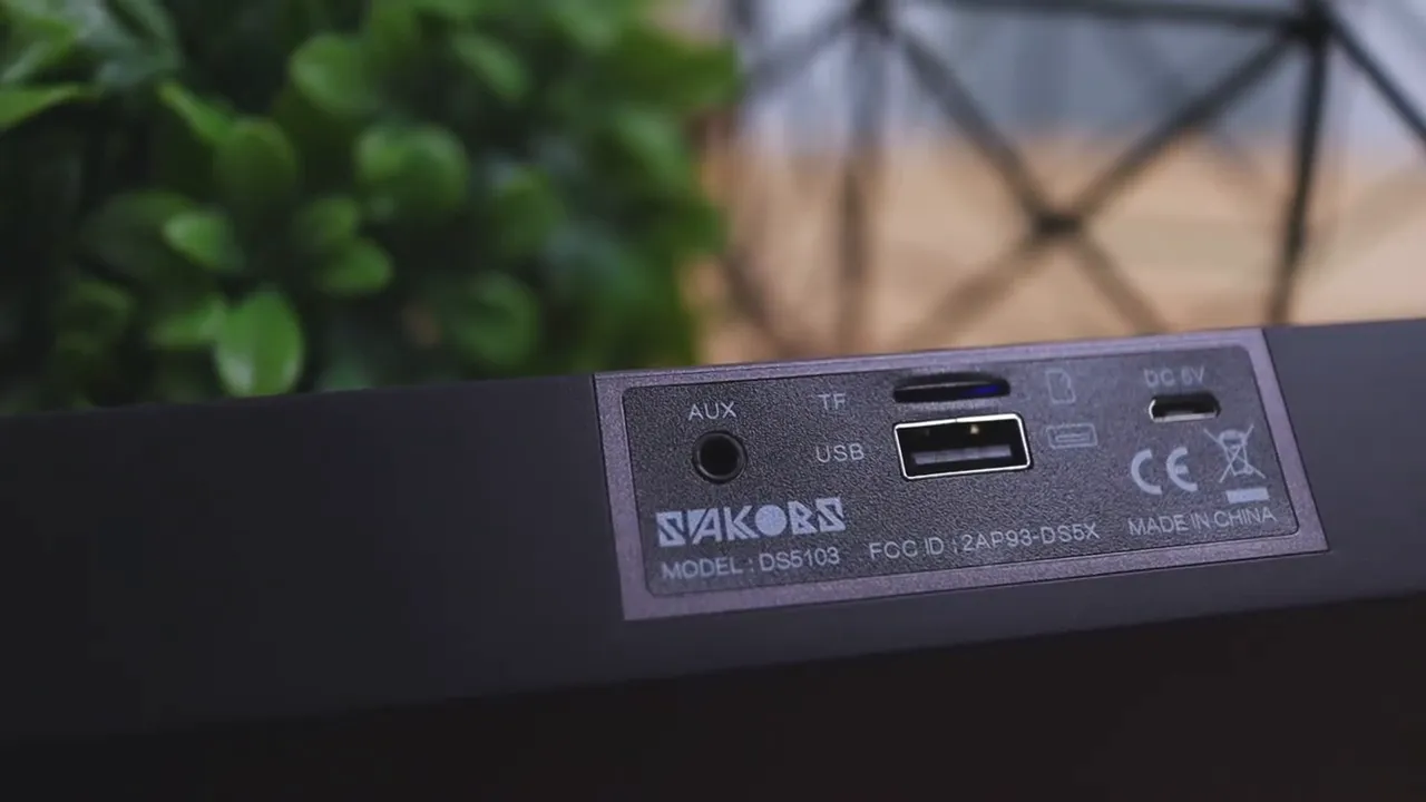 Sakobs DS5103 rear port panel close-up with AUX, TF, USB, and power details