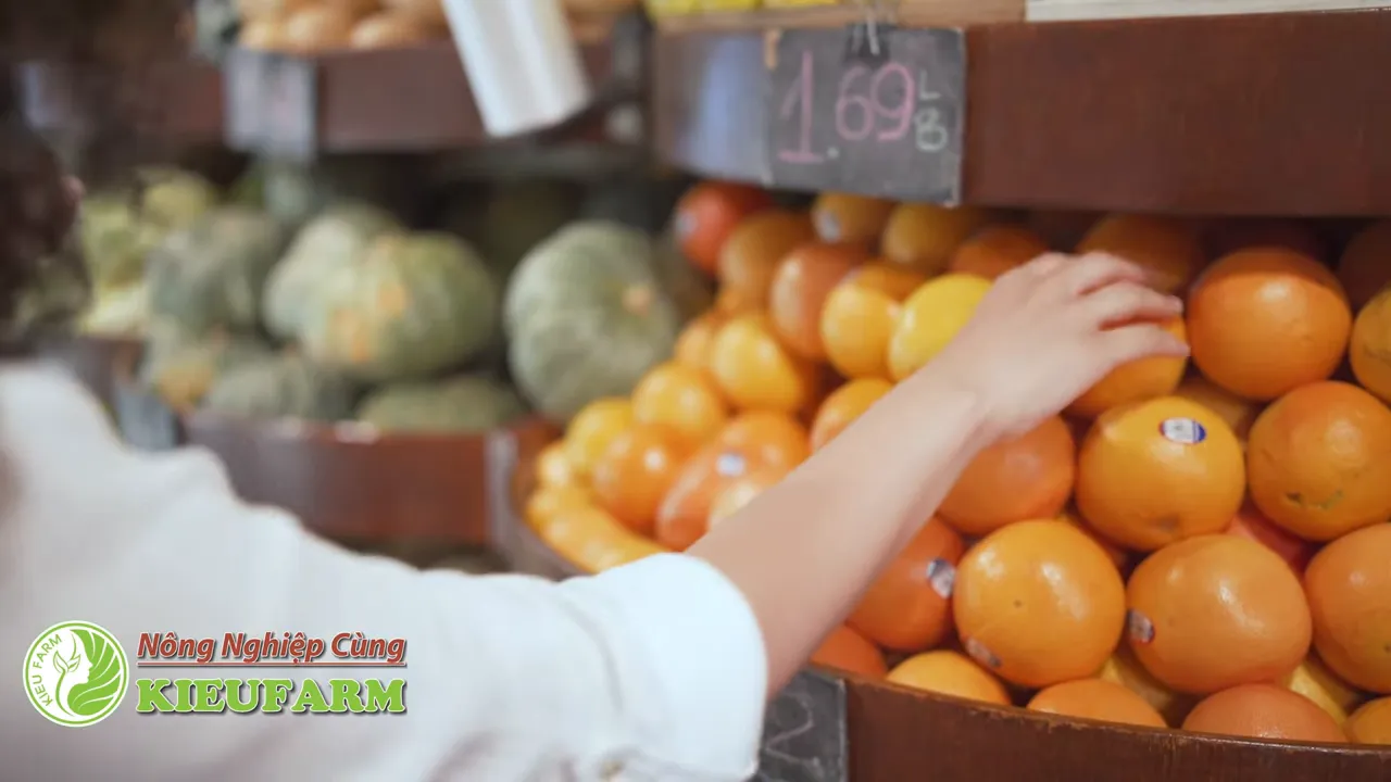 Quầy rau củ và trái cây tươi được bày bán trong cửa hàng
