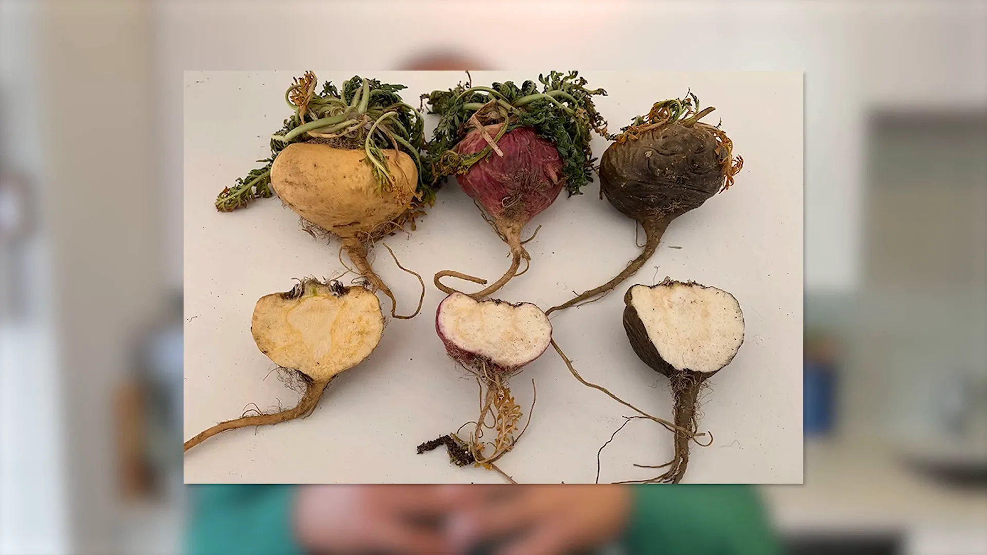 Black Maca powder in a bowl