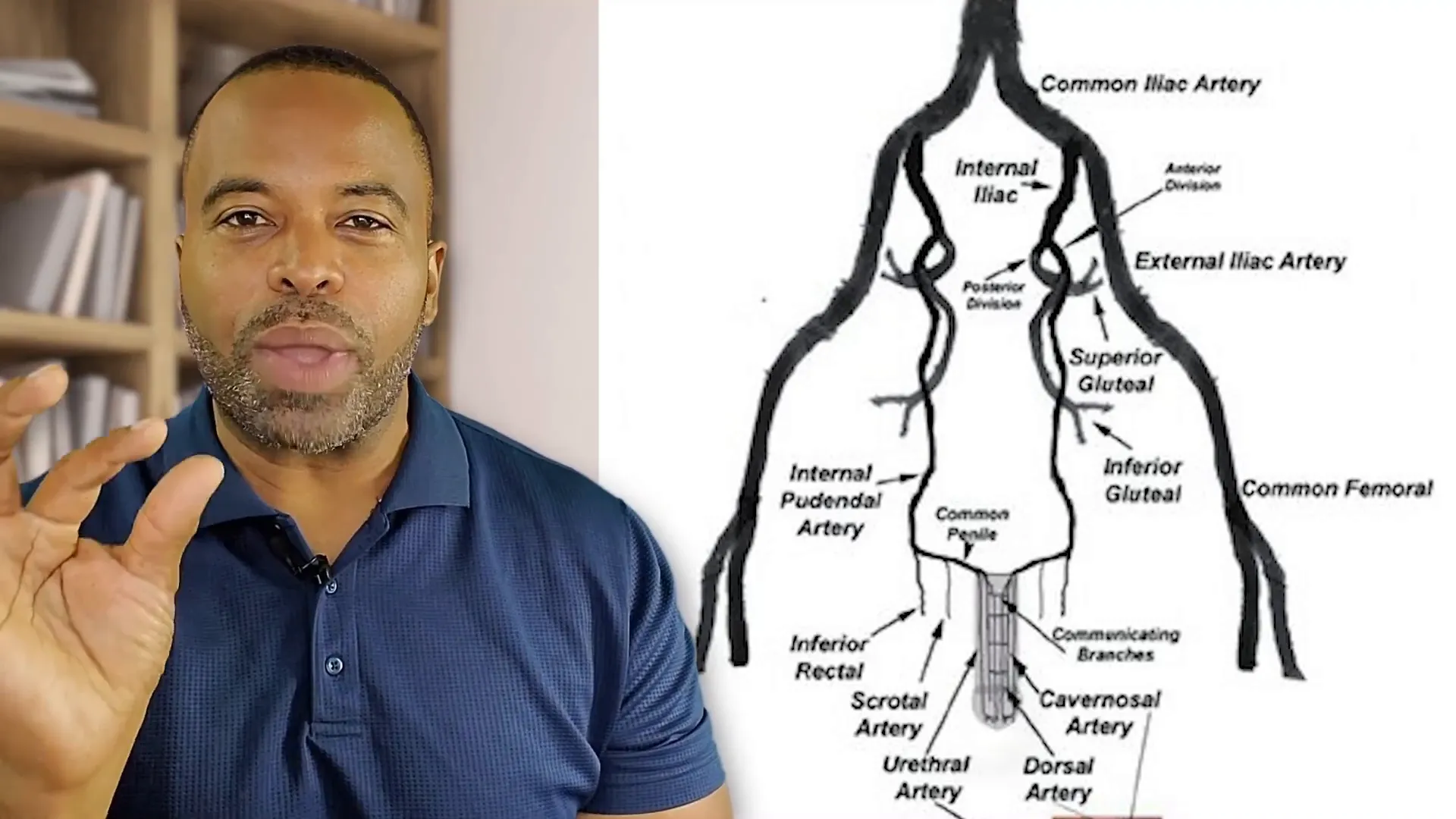 Importance of hydration for blood flow