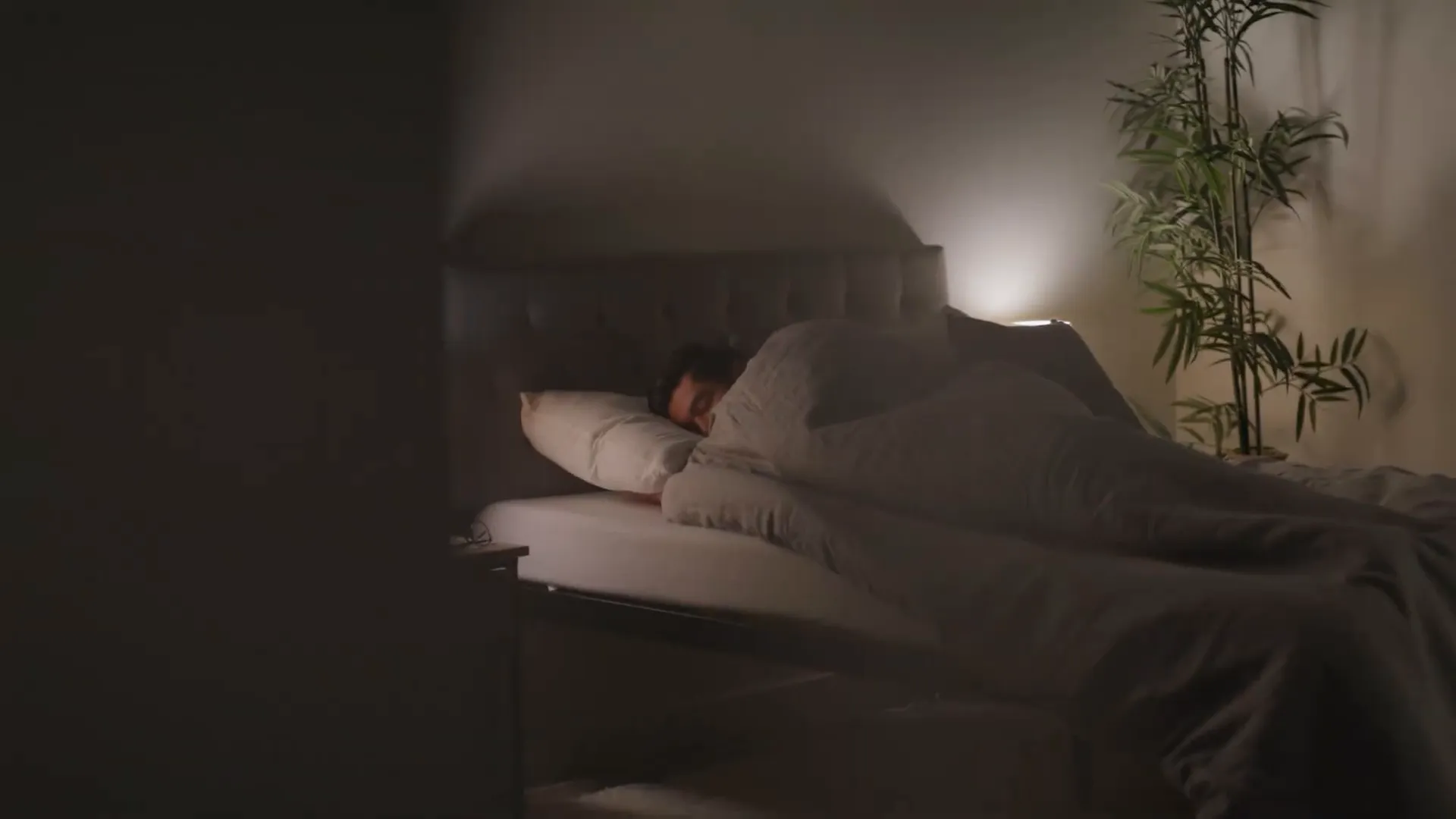 Erections during sleep