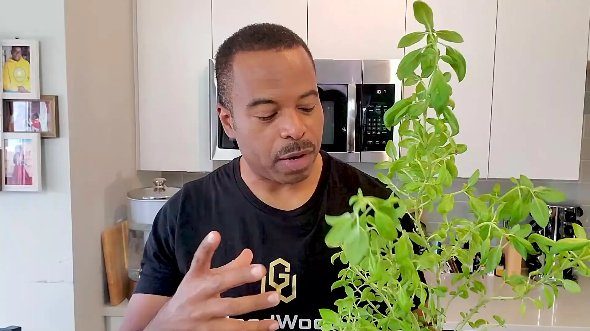 Fresh basil leaves added to the smoothie mix