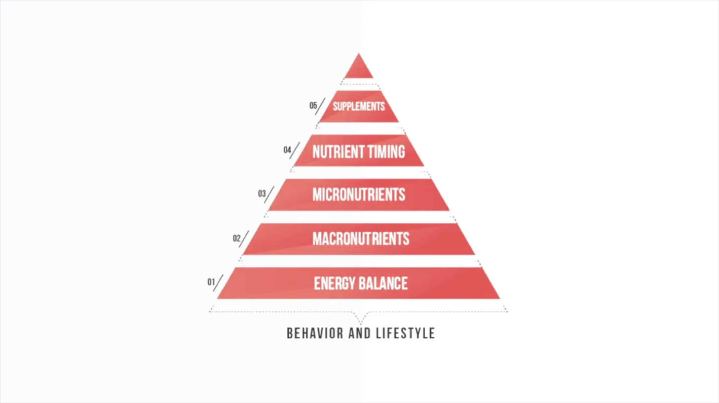 Nutrition pyramid hierarchy of importance