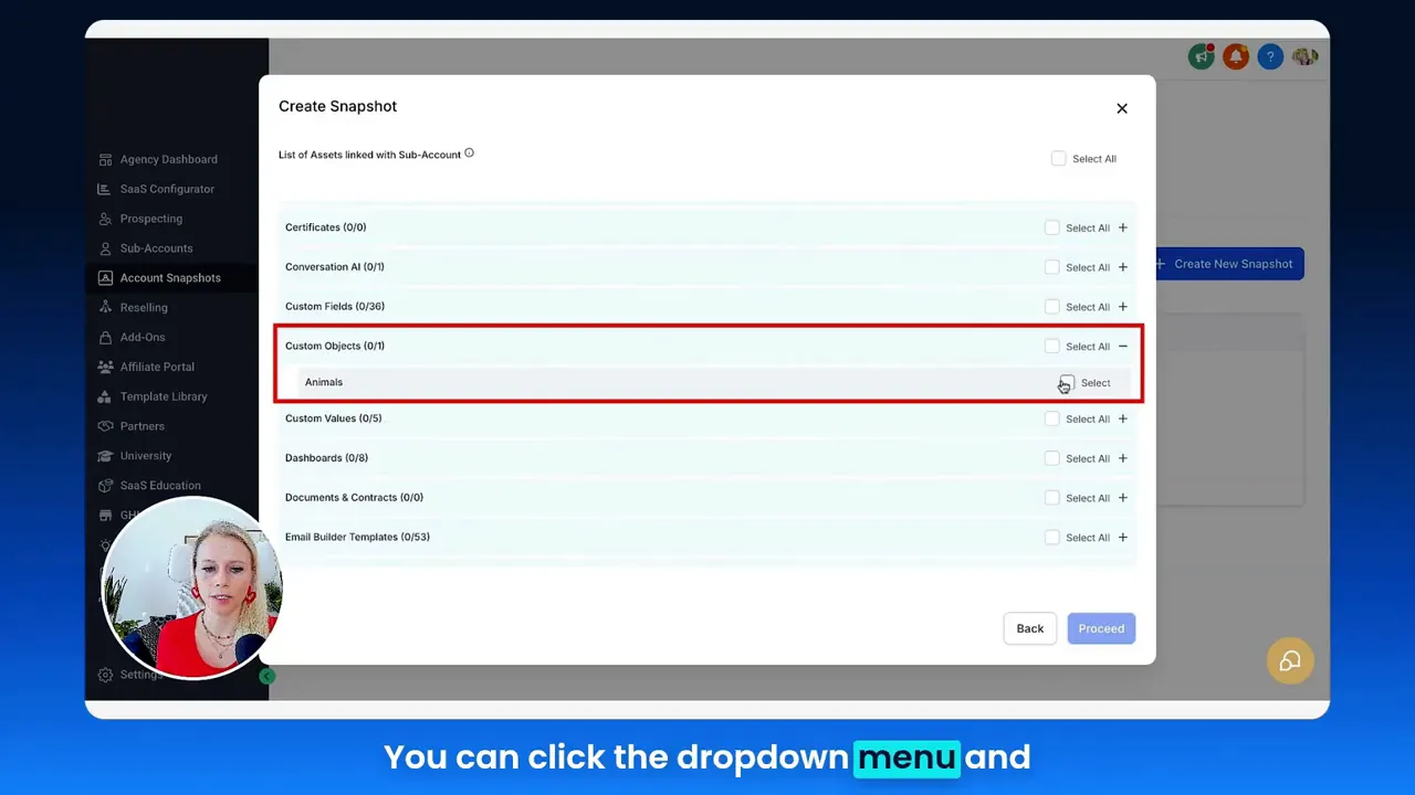 Creating an account snapshot in the agency view to include custom objects