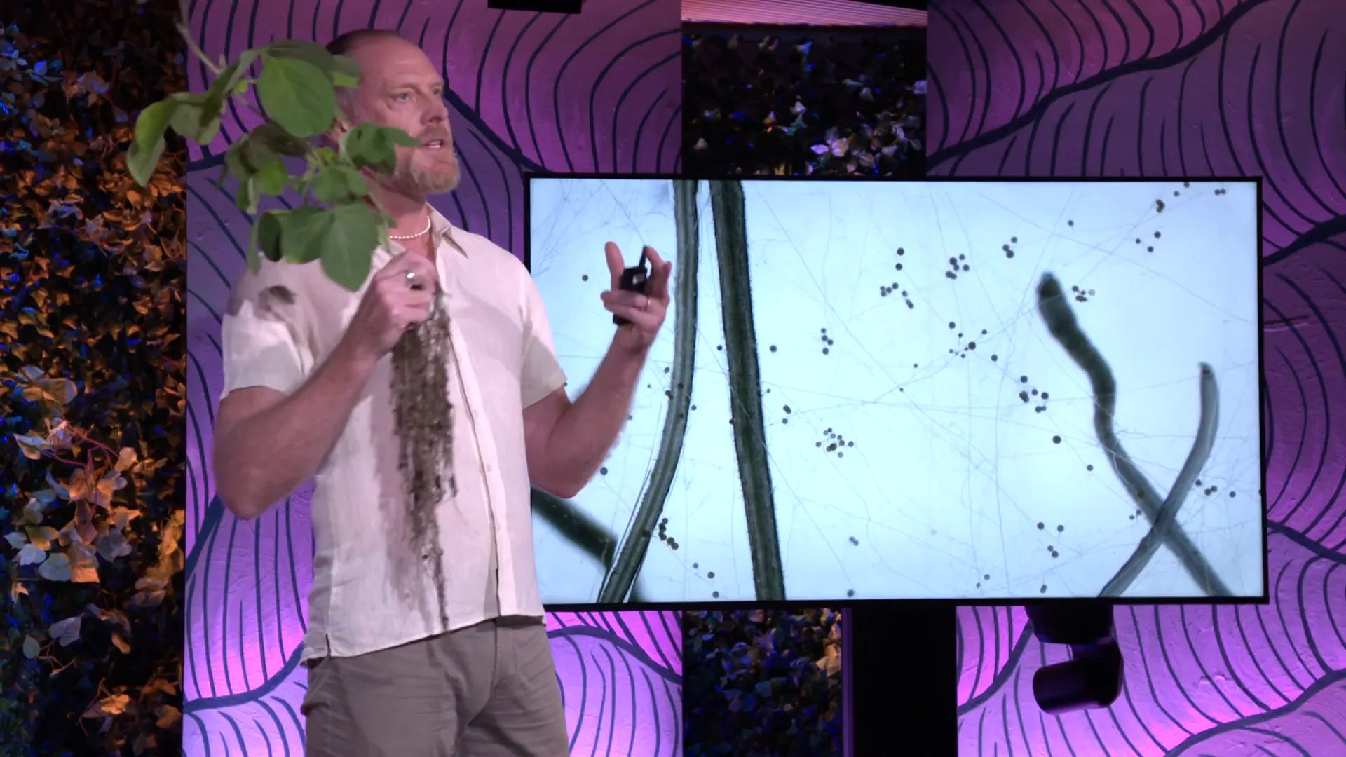 Microscopic view of mycorrhizal fungi
