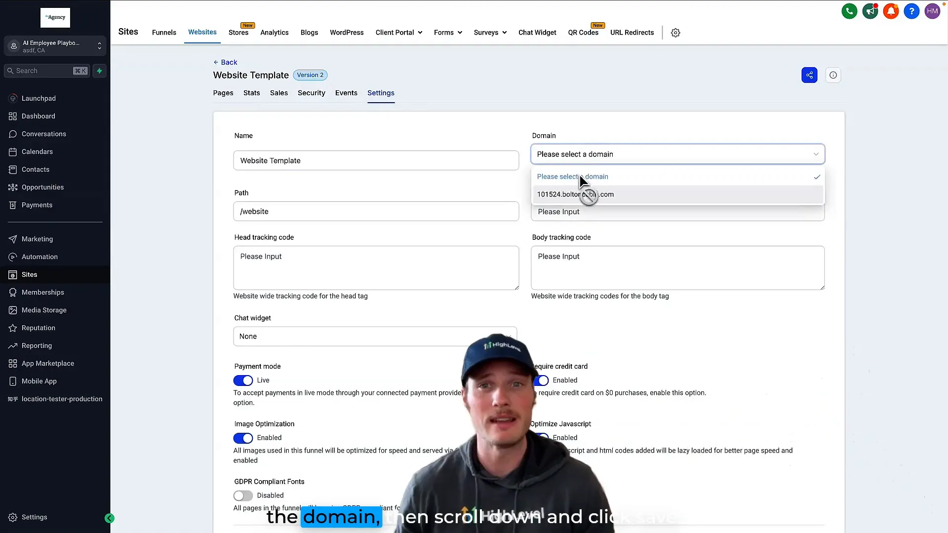 Website template settings with domain selection option