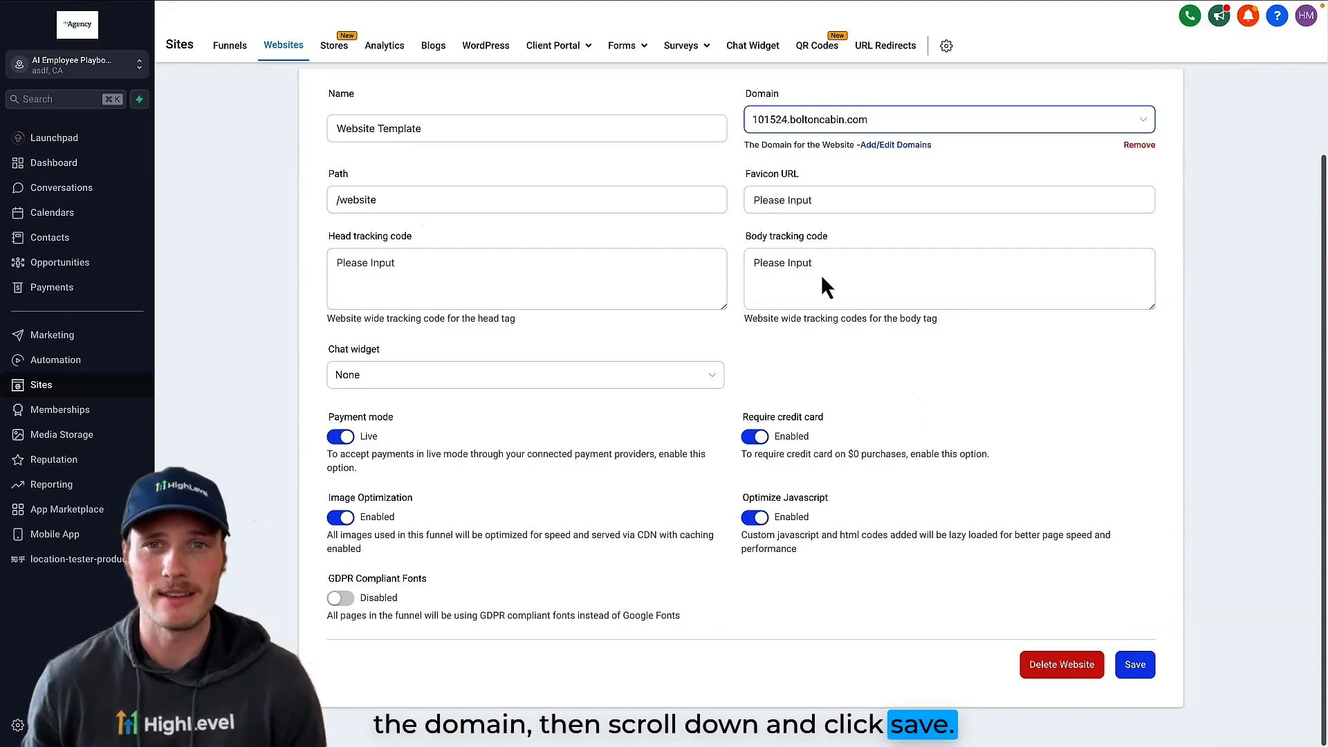 Domain connected to website settings interface
