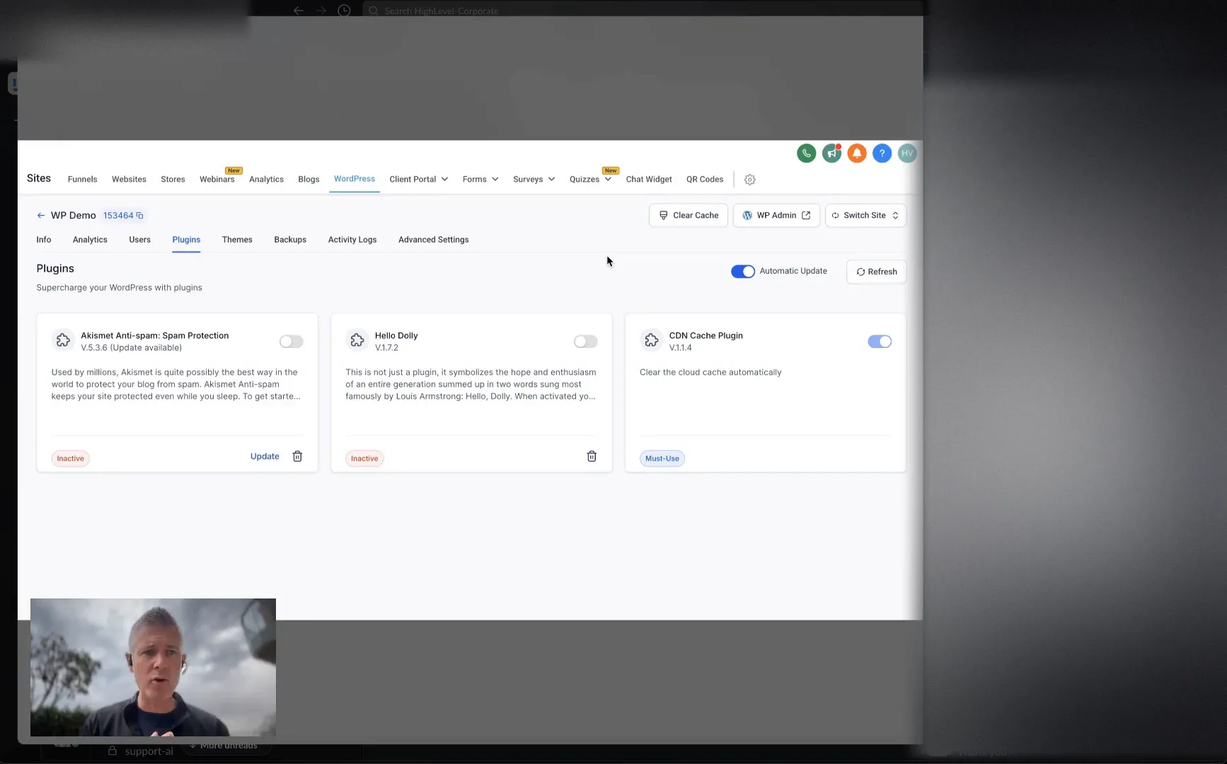 WordPress plugins page showing automatic update options