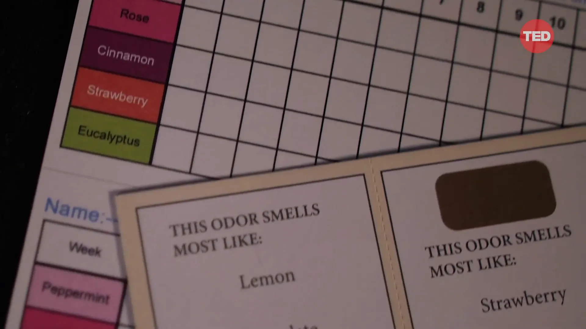 Visual representation of a smell assessment in a clinical setting.