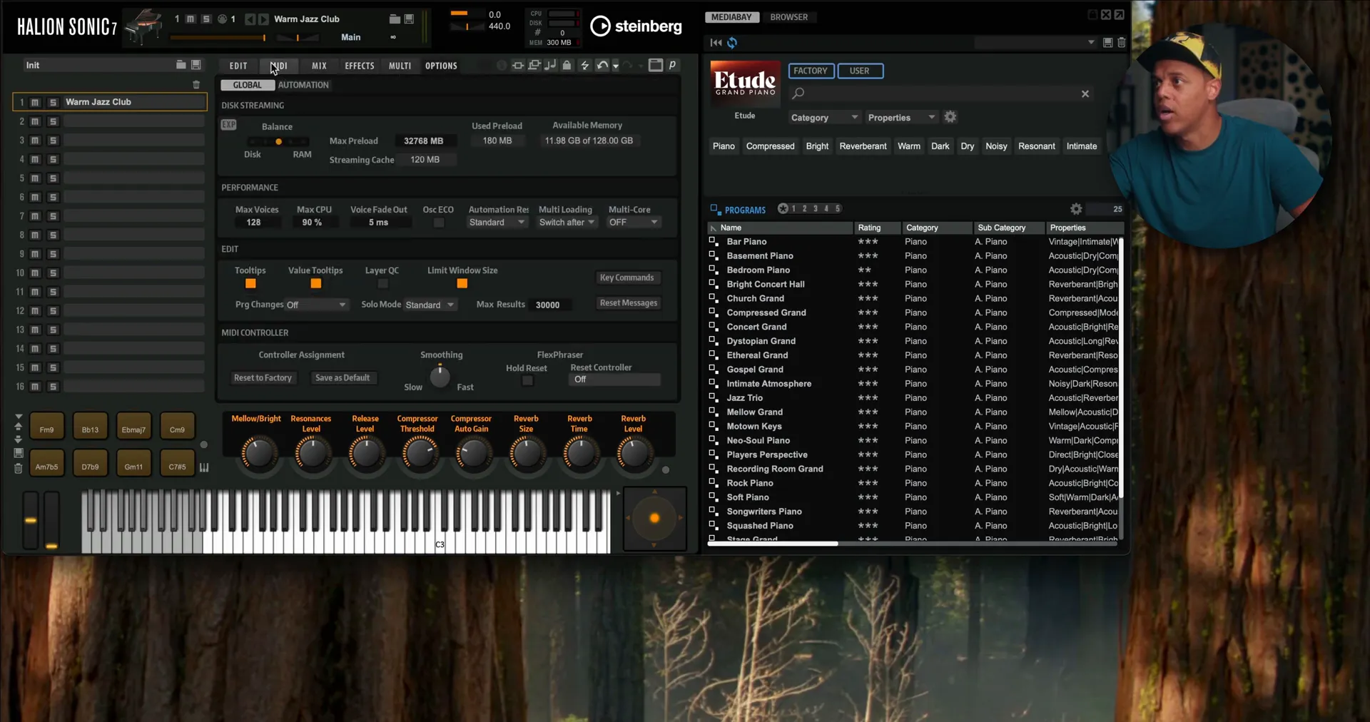 Steinberg A2 Grand Piano simple user interface with mixer and effects