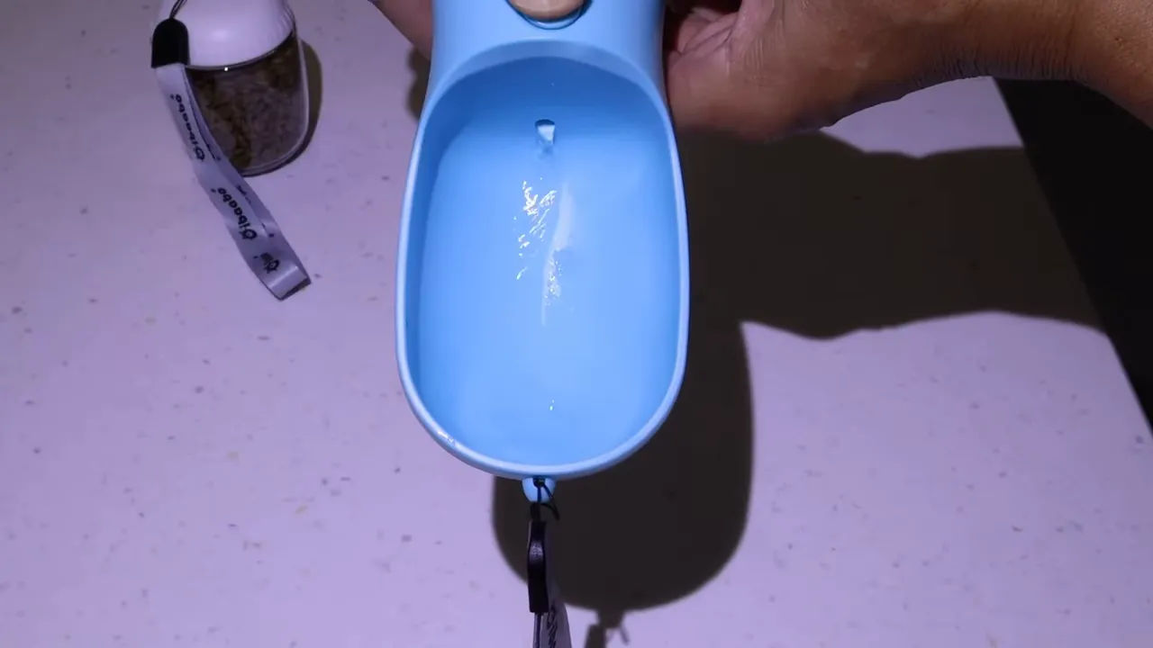Dispensing water into the bowl for the dog to drink