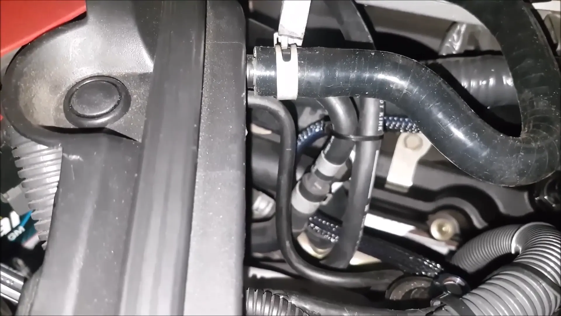 Serpentine belt and coolant hoses inspection
