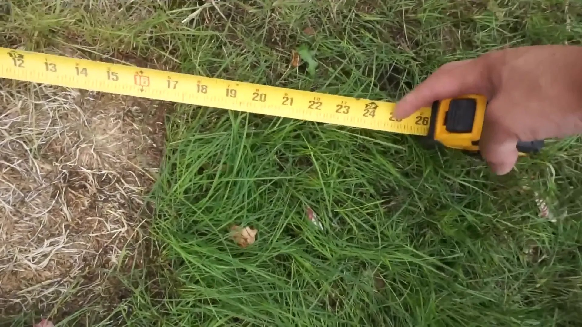 Steel peg marking 20 inches from deck