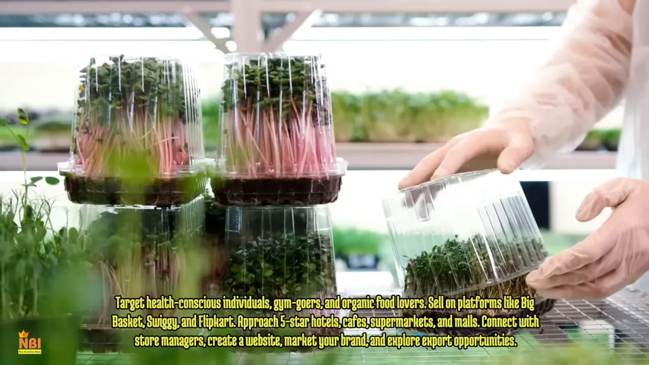 Các hộp microgreens trong suốt được đặt trên bàn để đóng gói bán hàng