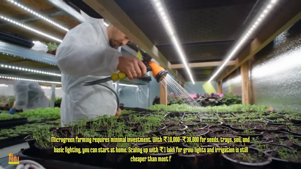 Người mặc đồ bảo hộ tưới các khay microgreens trên hệ thống kệ nhiều tầng có đèn