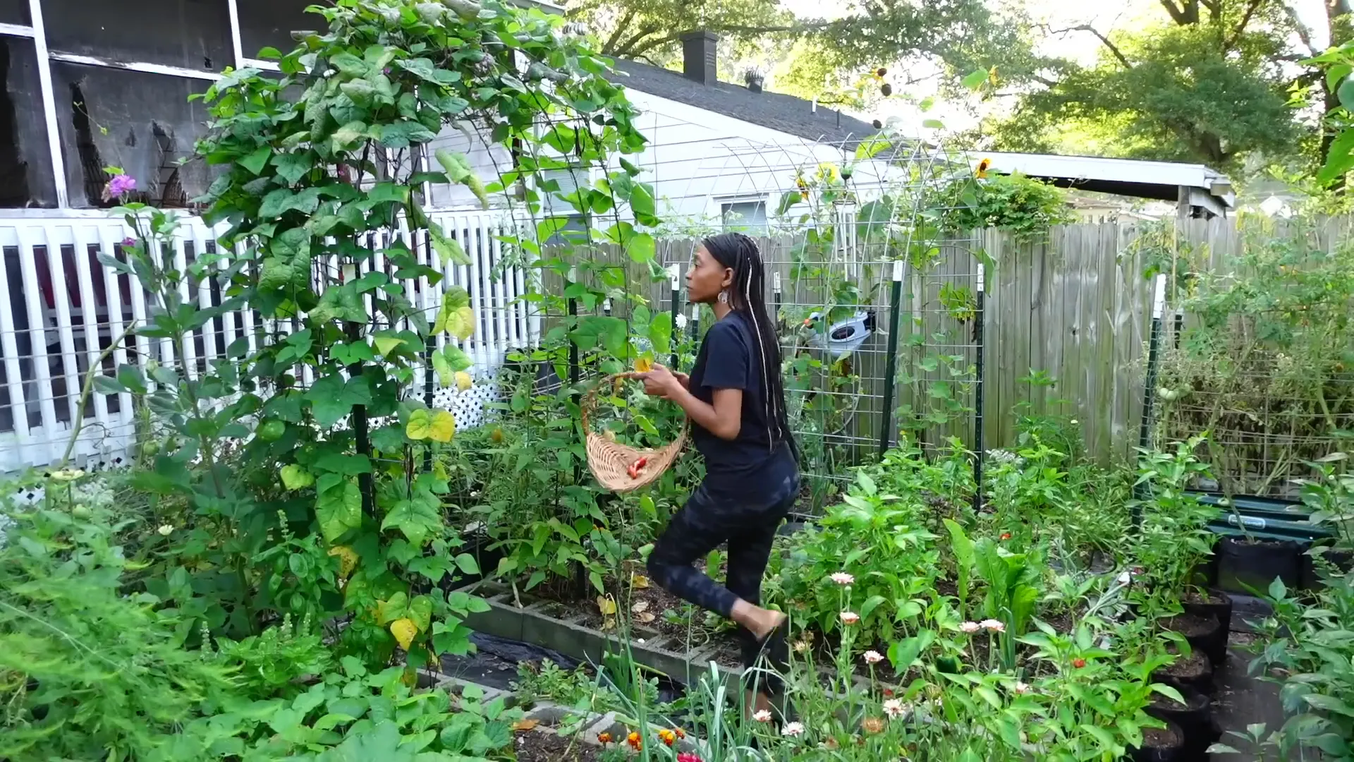 Intense planting in the garden