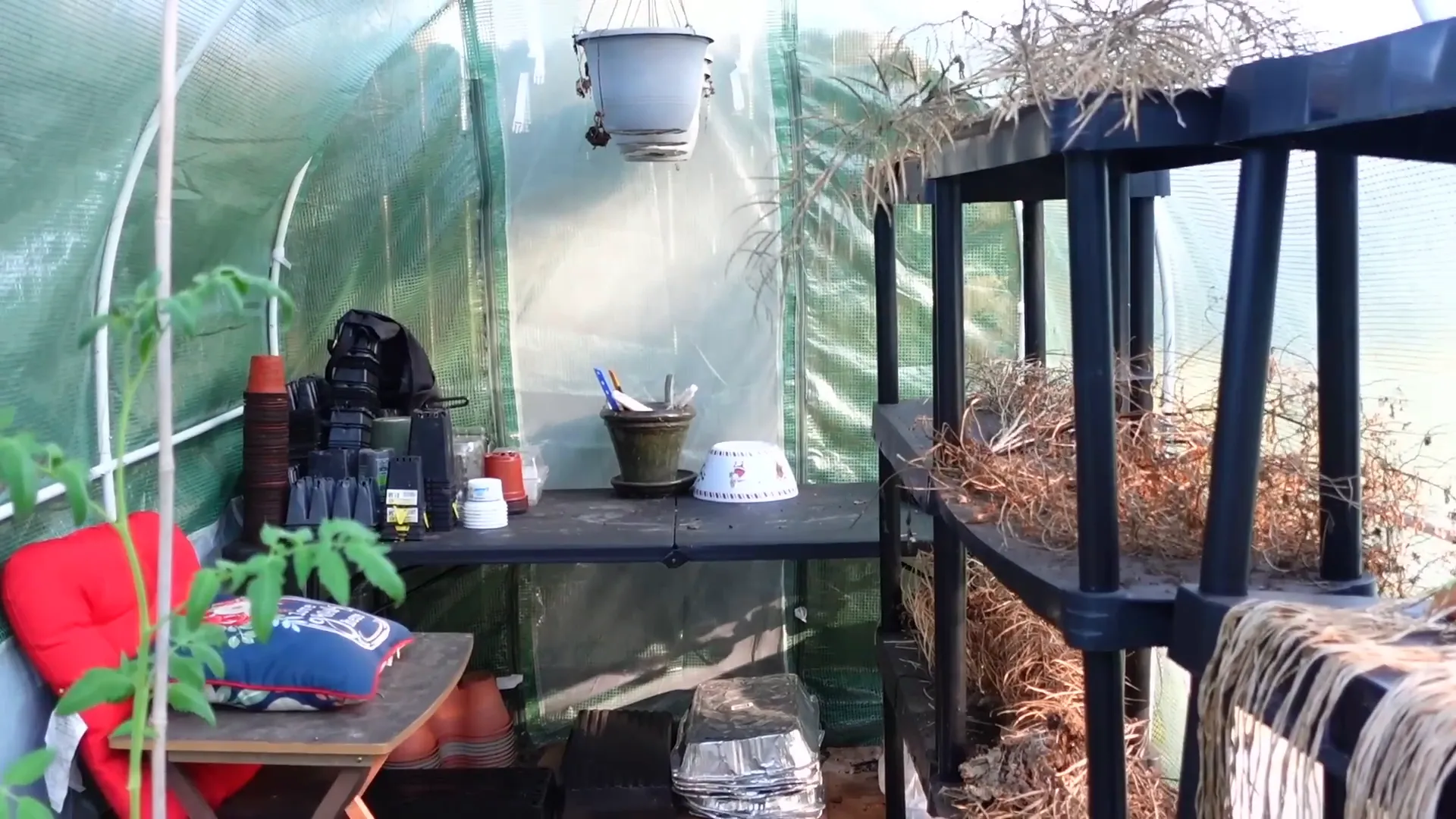 Shelves in the greenhouse