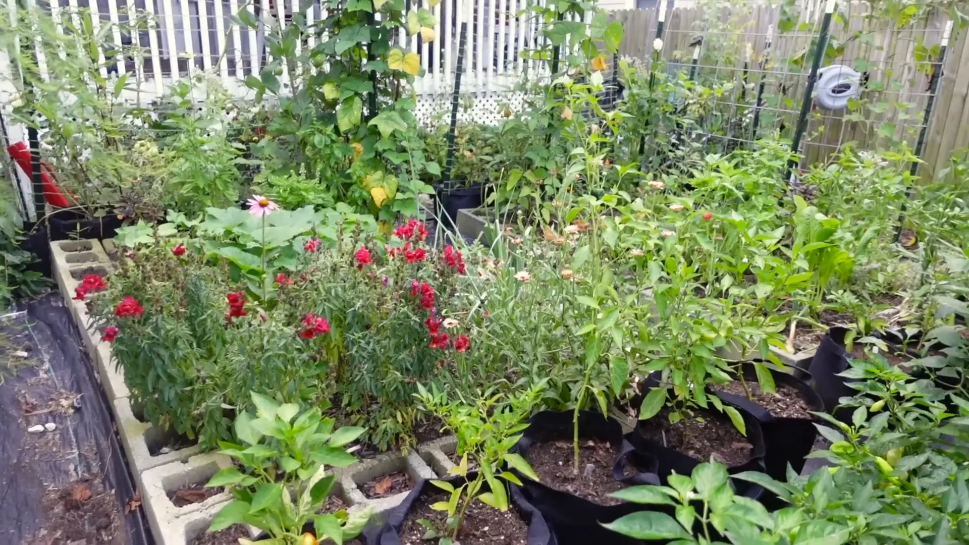 Multiple garden beds
