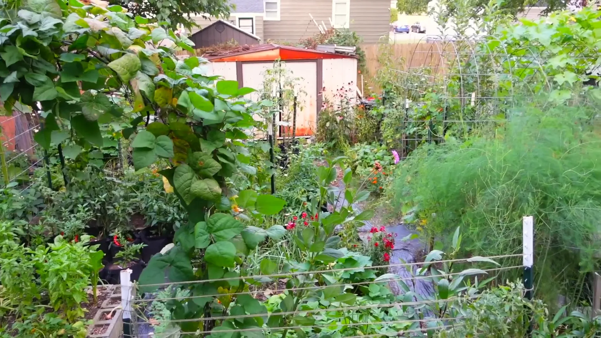 Year-round gardening