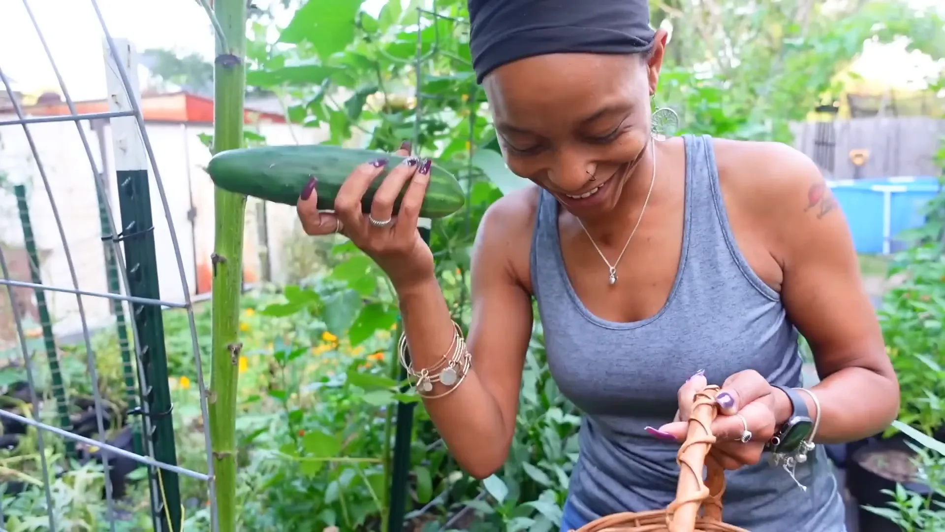 Cucumbers in the garden