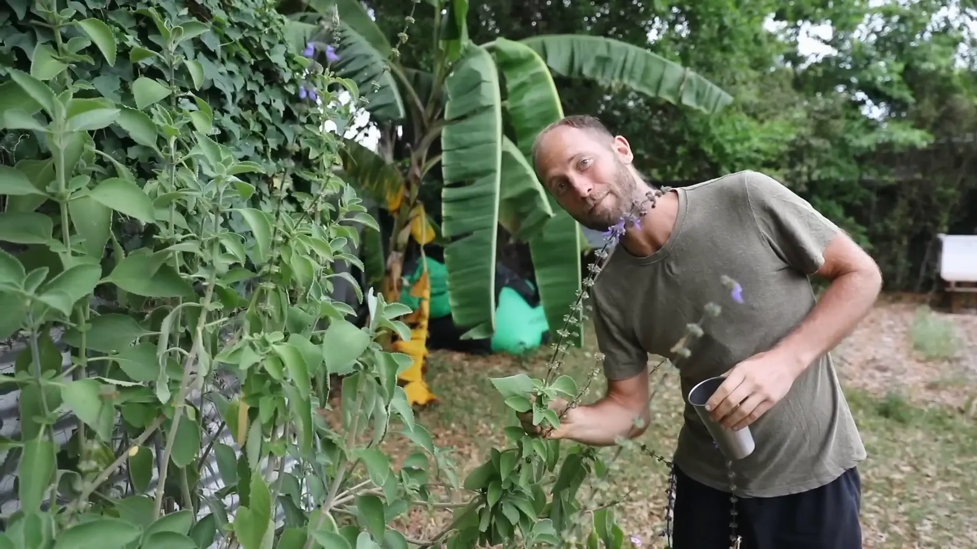 Rob's composting toilet setup