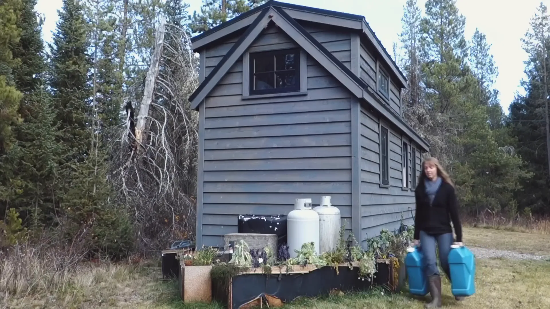 Ariel splitting firewood