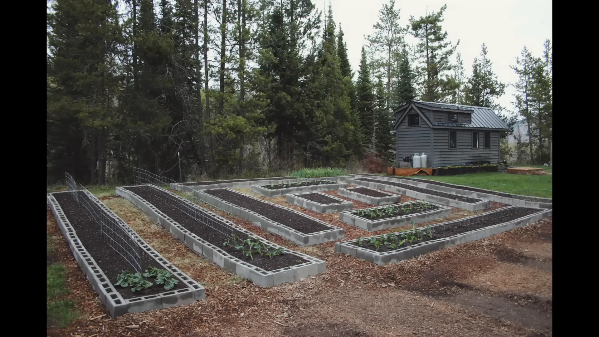 Ariel's vegetable garden