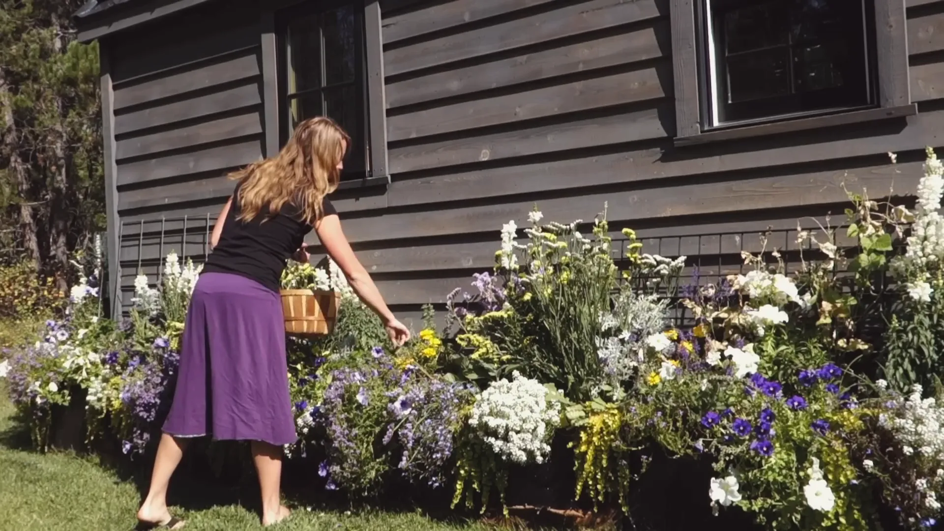 Ariel's composting toilet