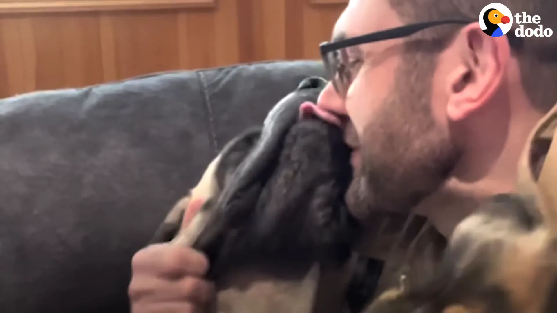 Proud, you're a different dog!