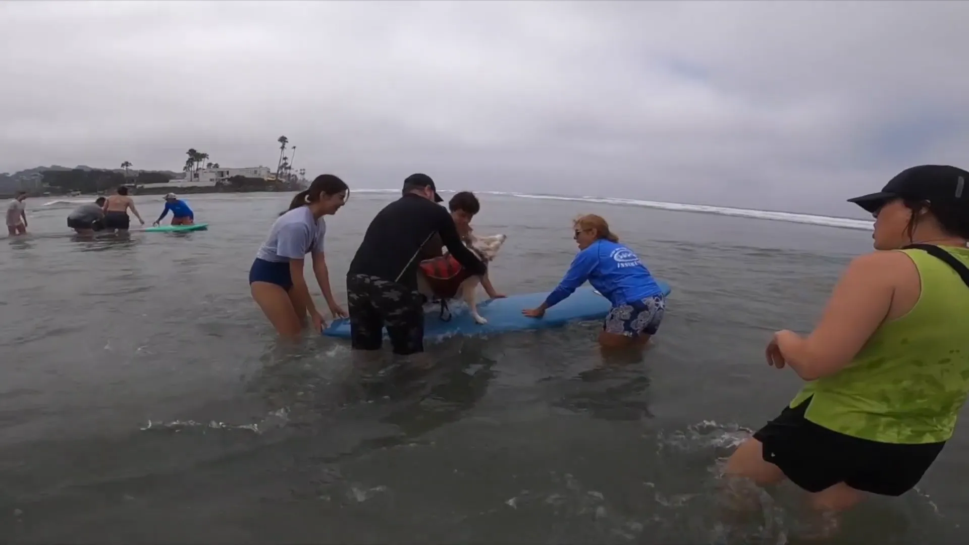 Clancy's first surf attempt