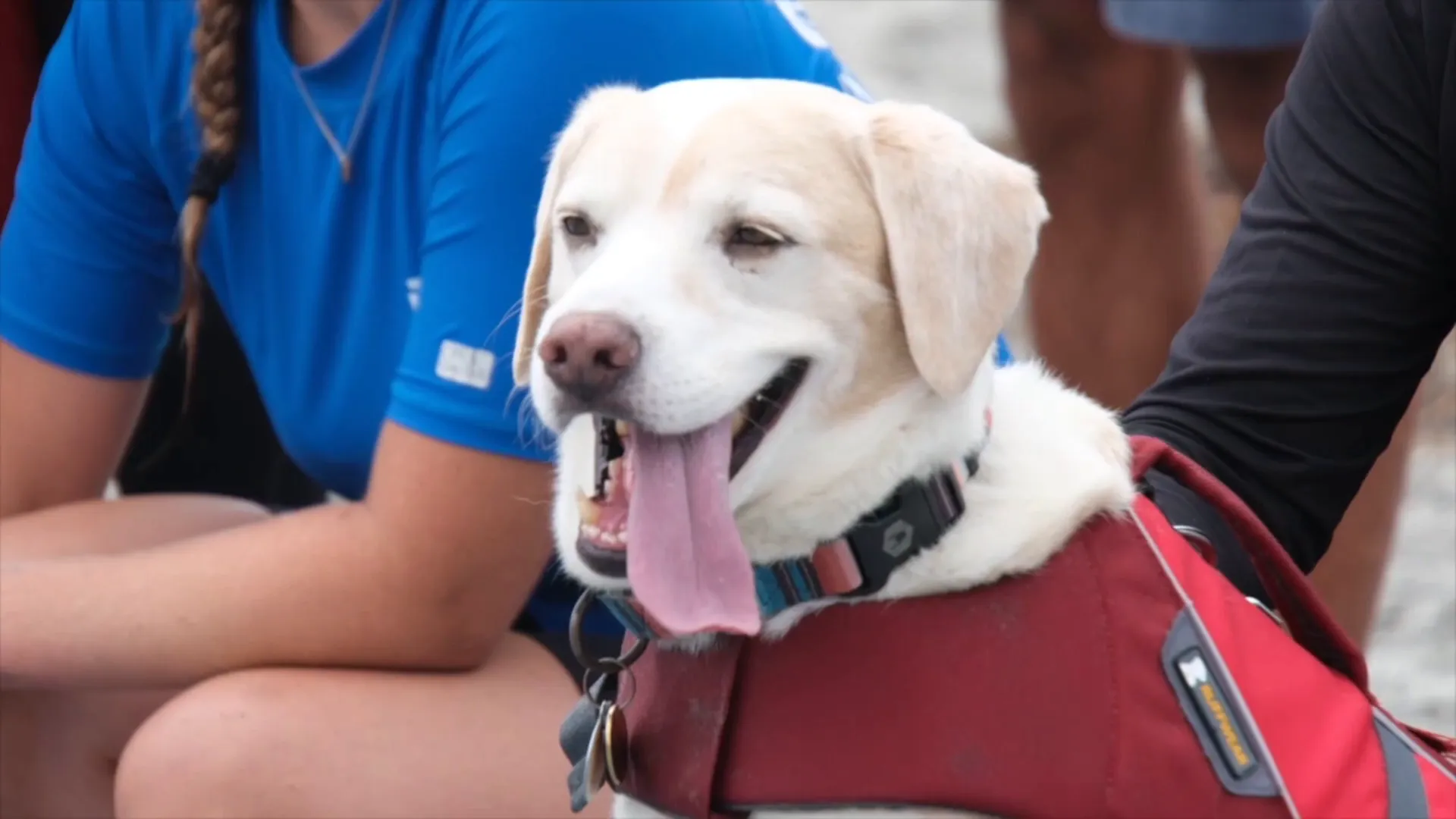 Clancy's happy face after surfing
