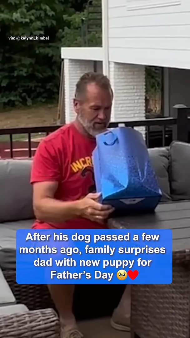 Dad expresses he doesn't have a dog yet.