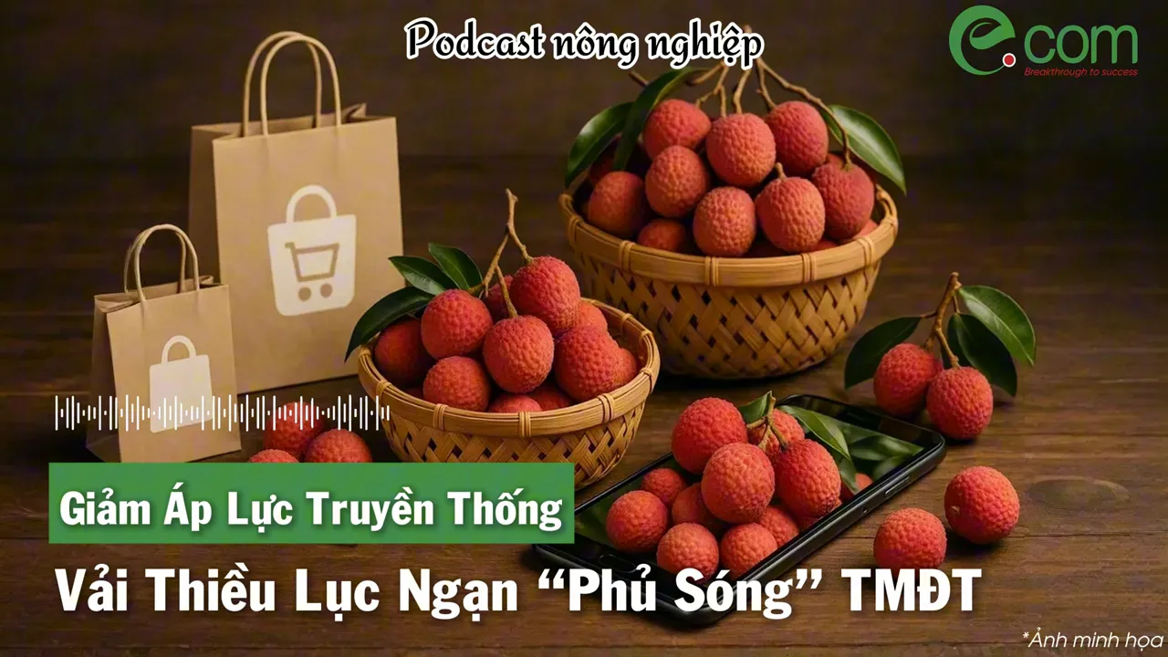 Các giỏ vải thiều tươi bên cạnh túi mua sắm biểu tượng cho việc bán nông sản trực tuyến