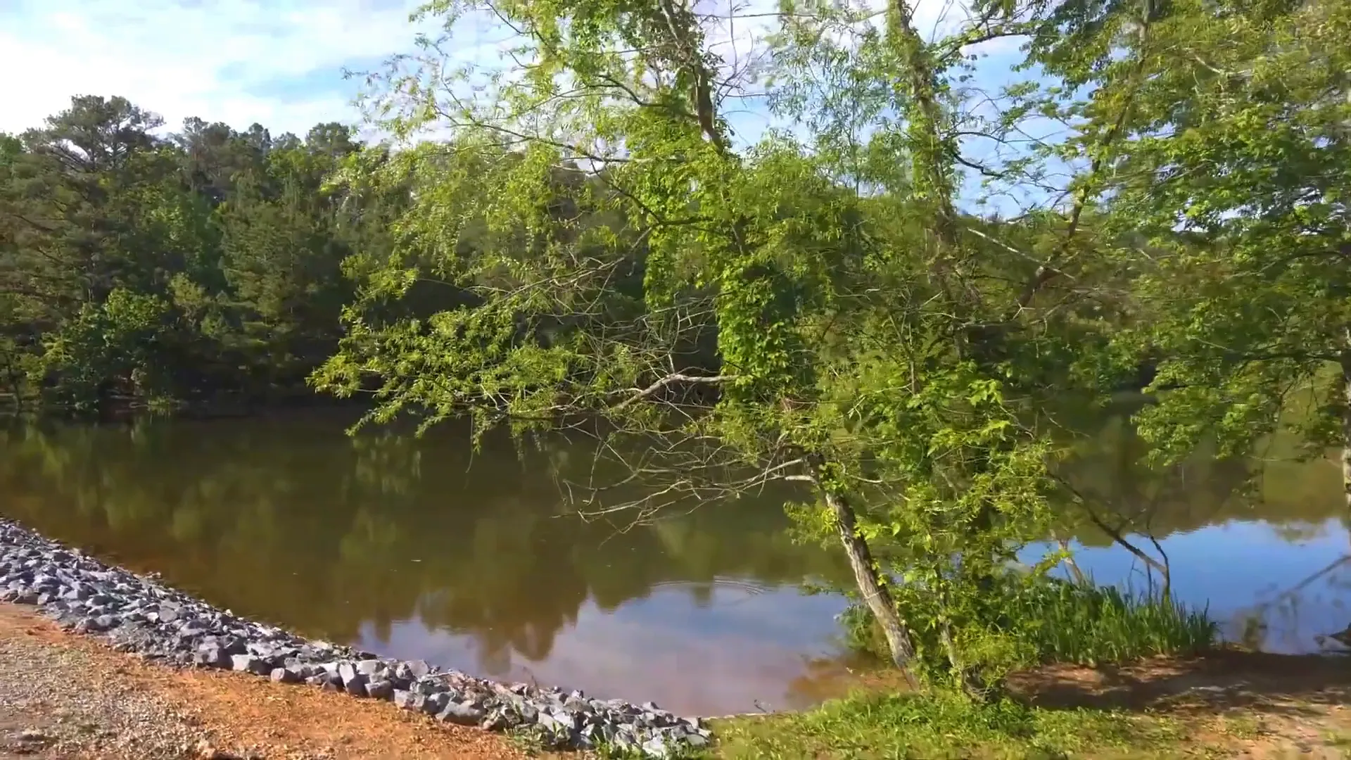 Bowie Nature Park, perfect for outdoor activities