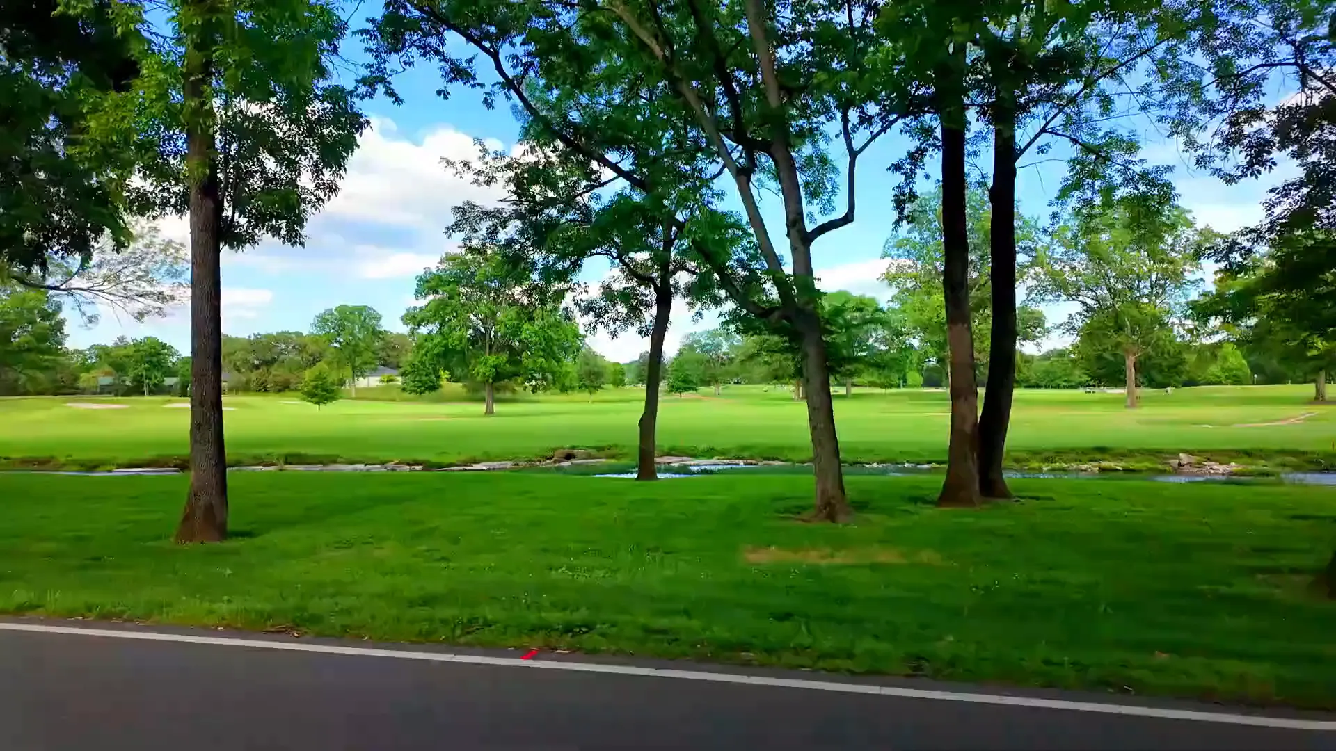 Quiet street lined with mature trees in Belle Meade