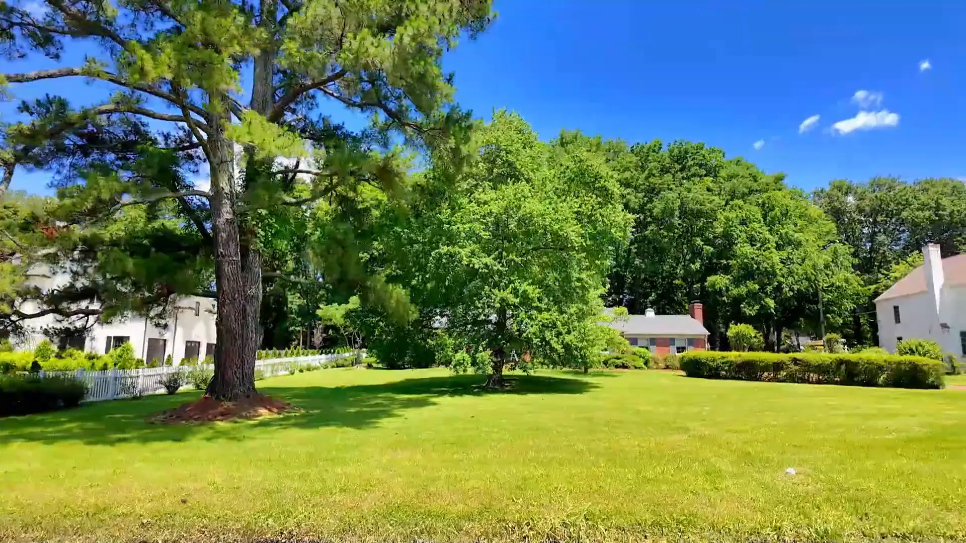 Quiet residential street in West Meade with large yards and mature trees
