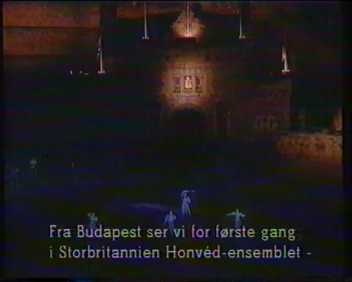 Honnveith Ensemble från Ungern på scen