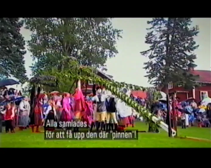 Midsommarstången reses i regnet
