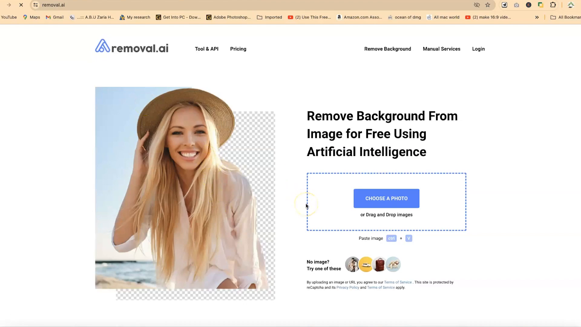 Removal AI interface
