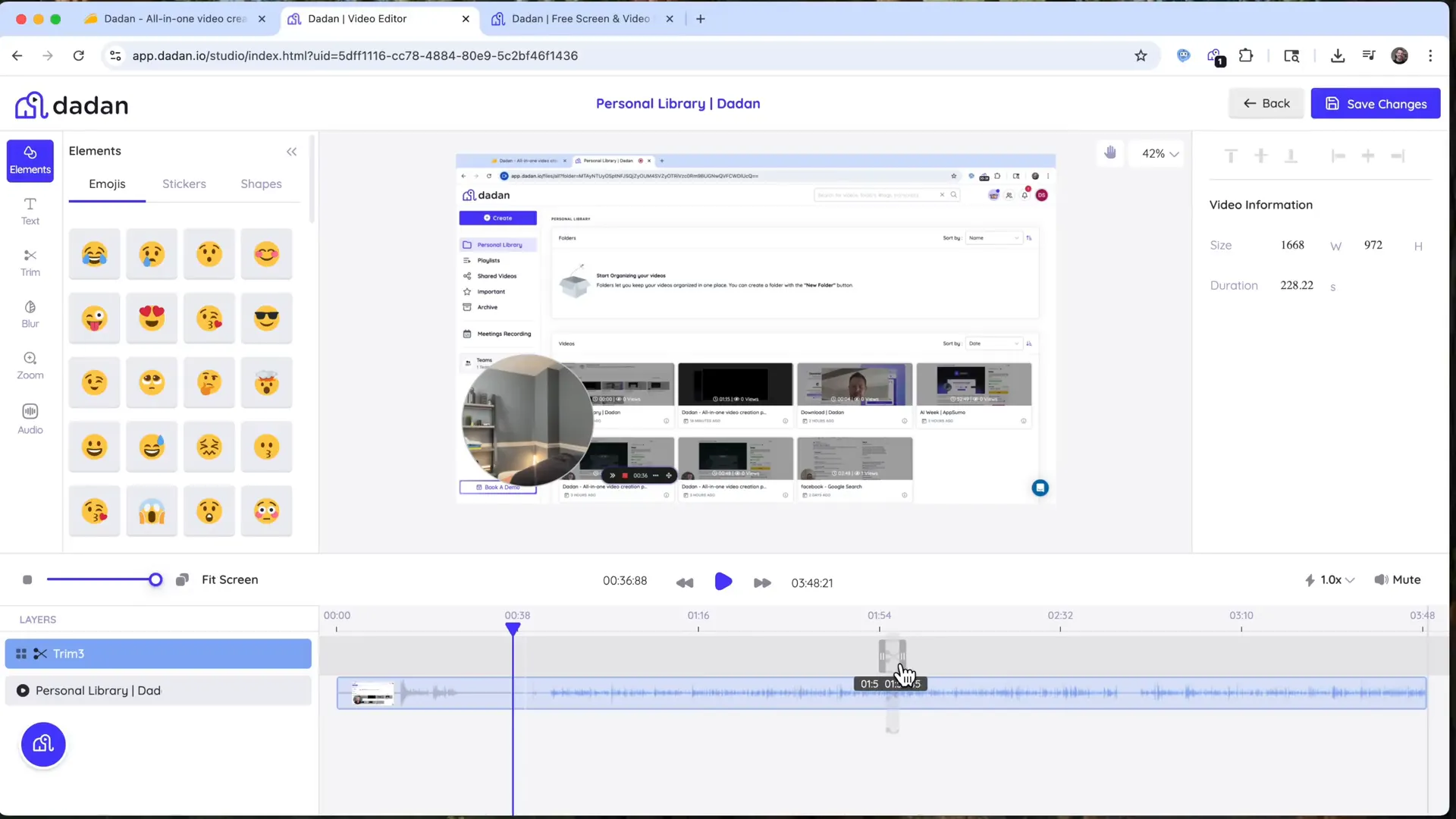 Dedan video editor trim tool interface