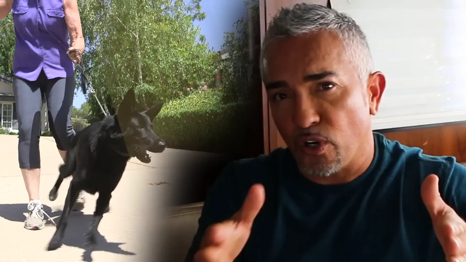 Owner pulling on leash creating tug of war with dog