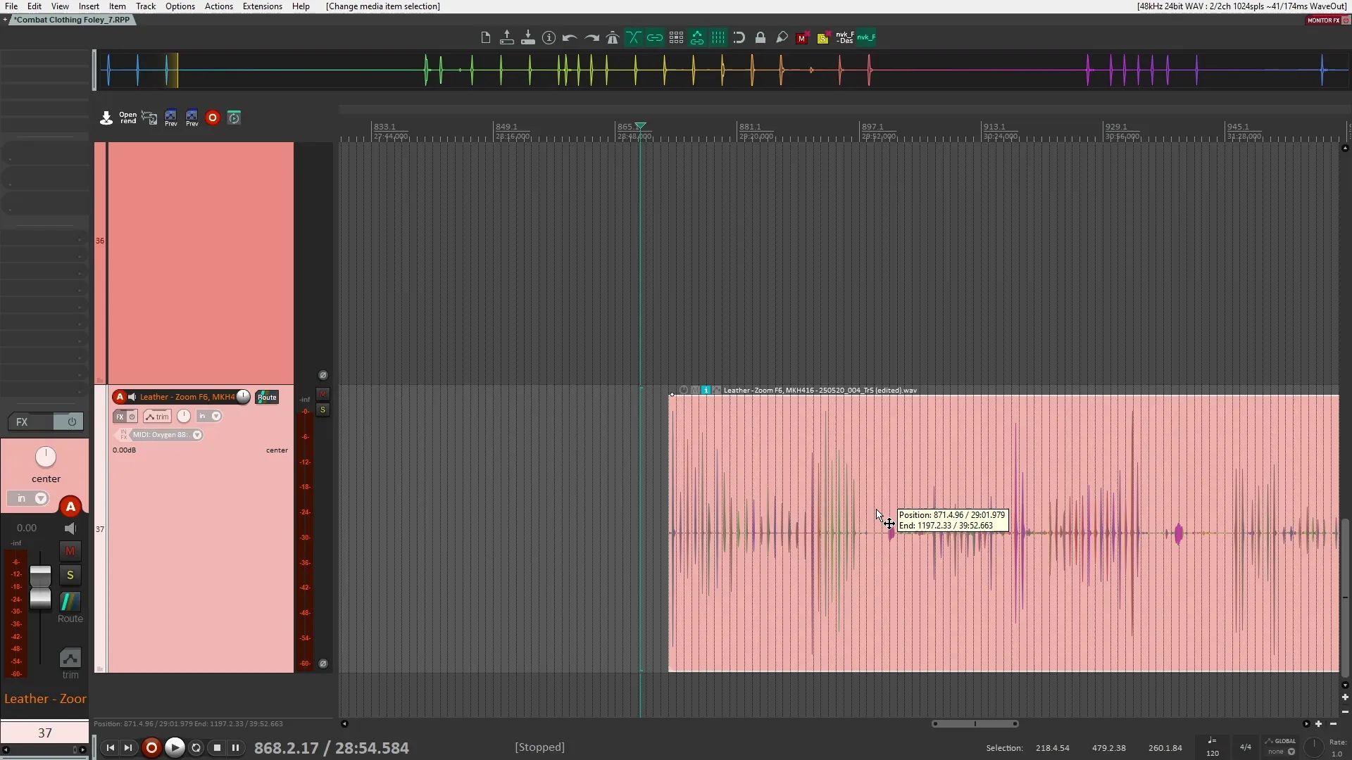 Organizing sound files in Reaper