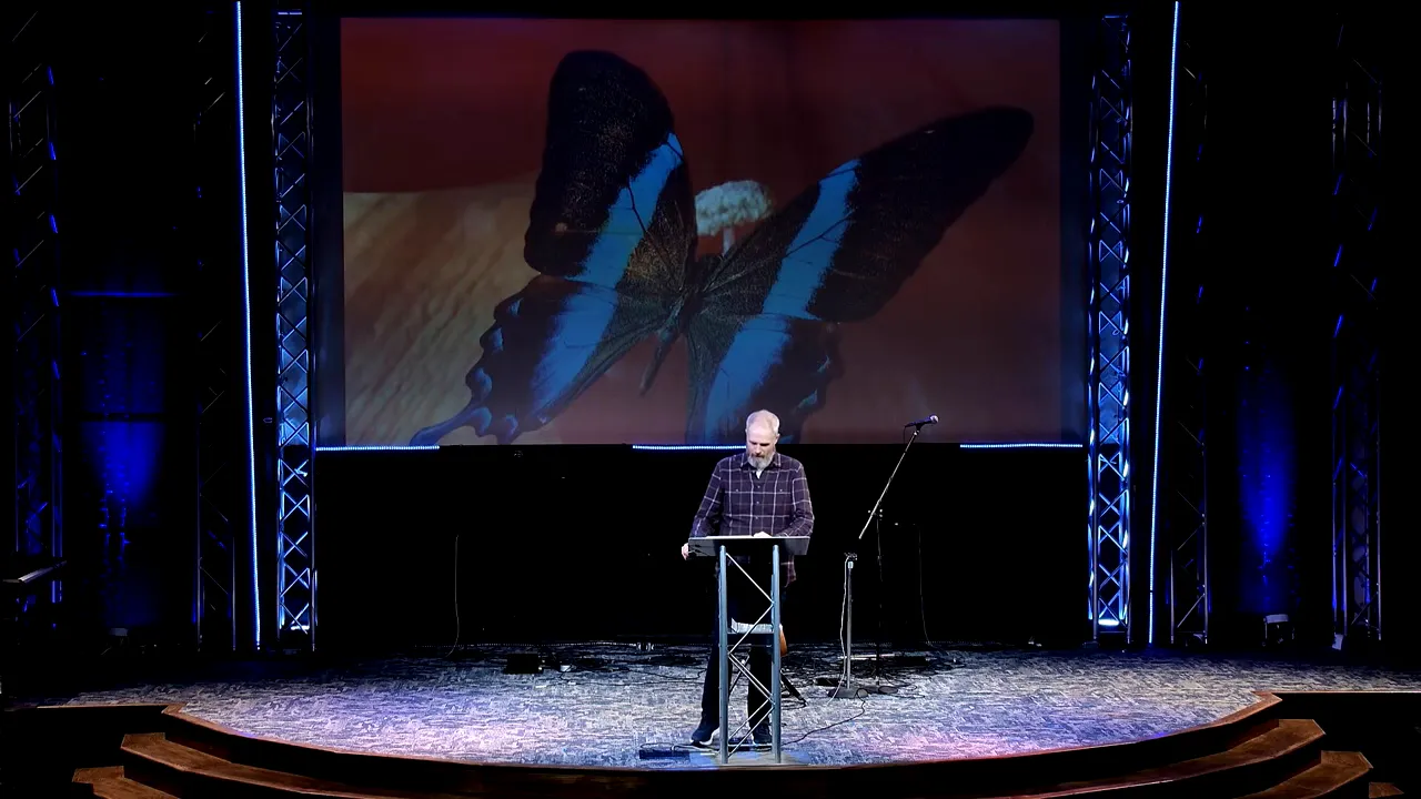 Speaker on stage with a large projected butterfly image symbolizing transformation and small steps