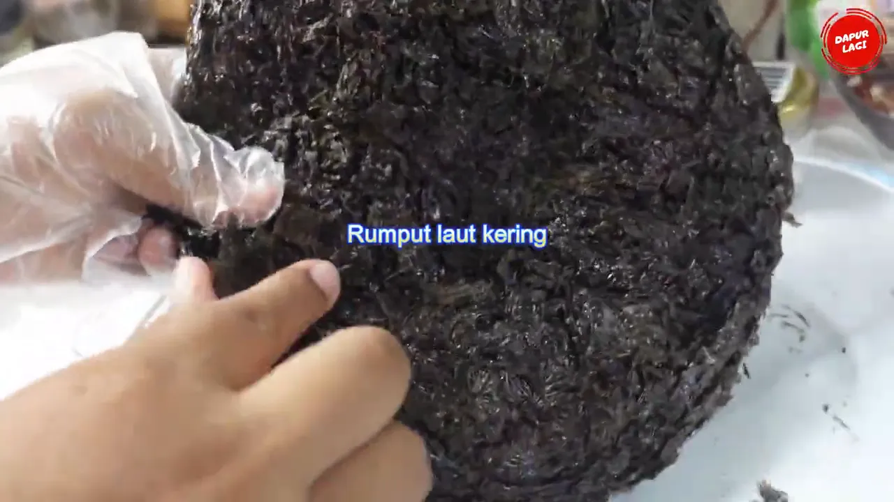 Rumput laut kering siap diolah untuk abon nori