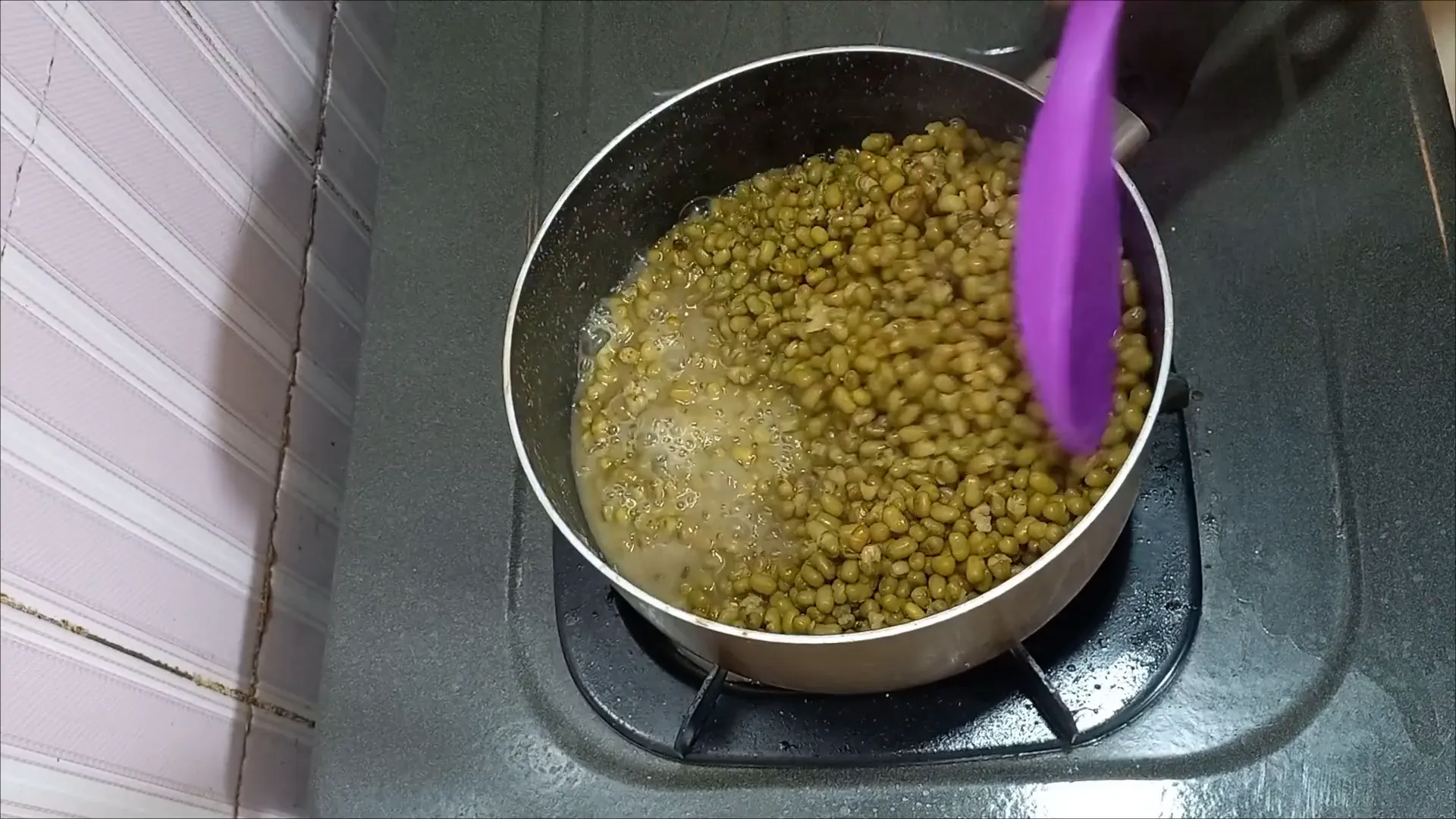 Kacang hijau mulai mekar saat direbus