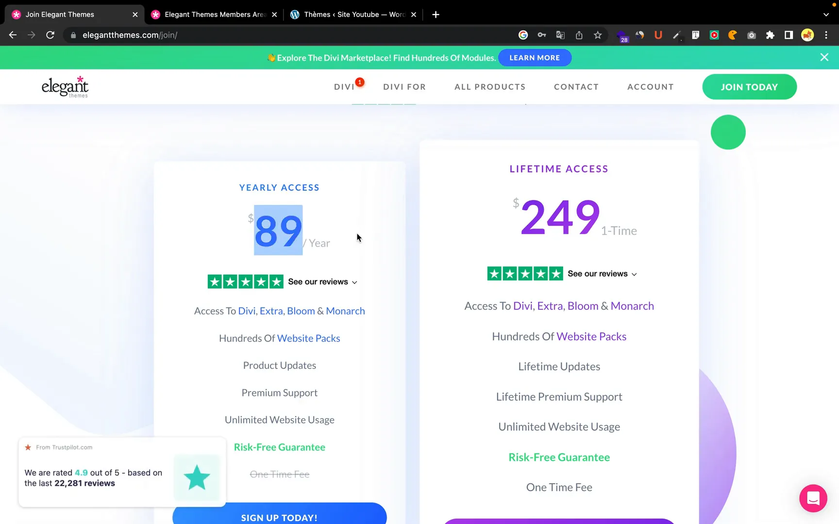Options de tarification pour DIVI