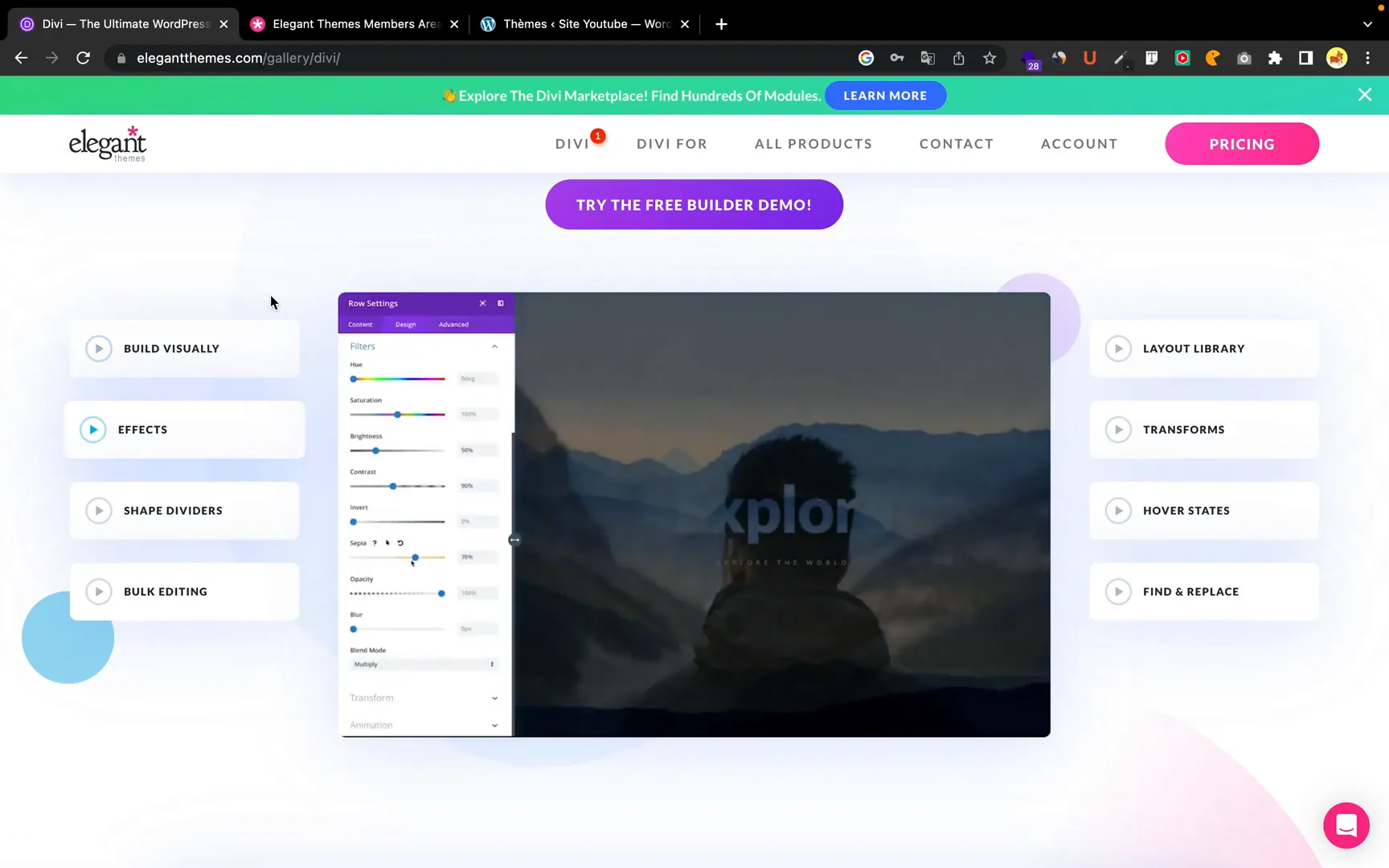 Interface de DIVI montrant les options de modification