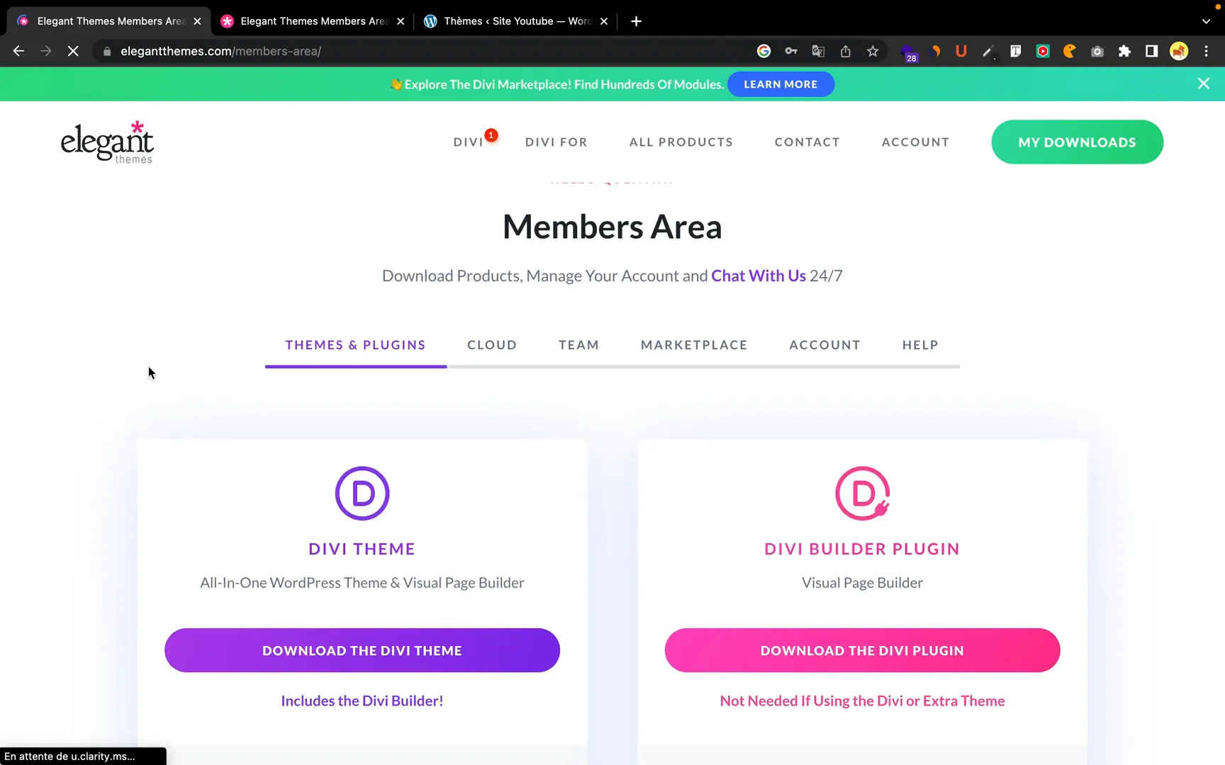 Page de compte Elegant Themes avec les options de téléchargement
