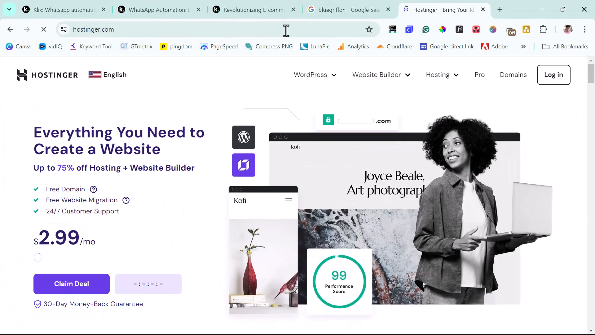 Hostinger Hosting Service